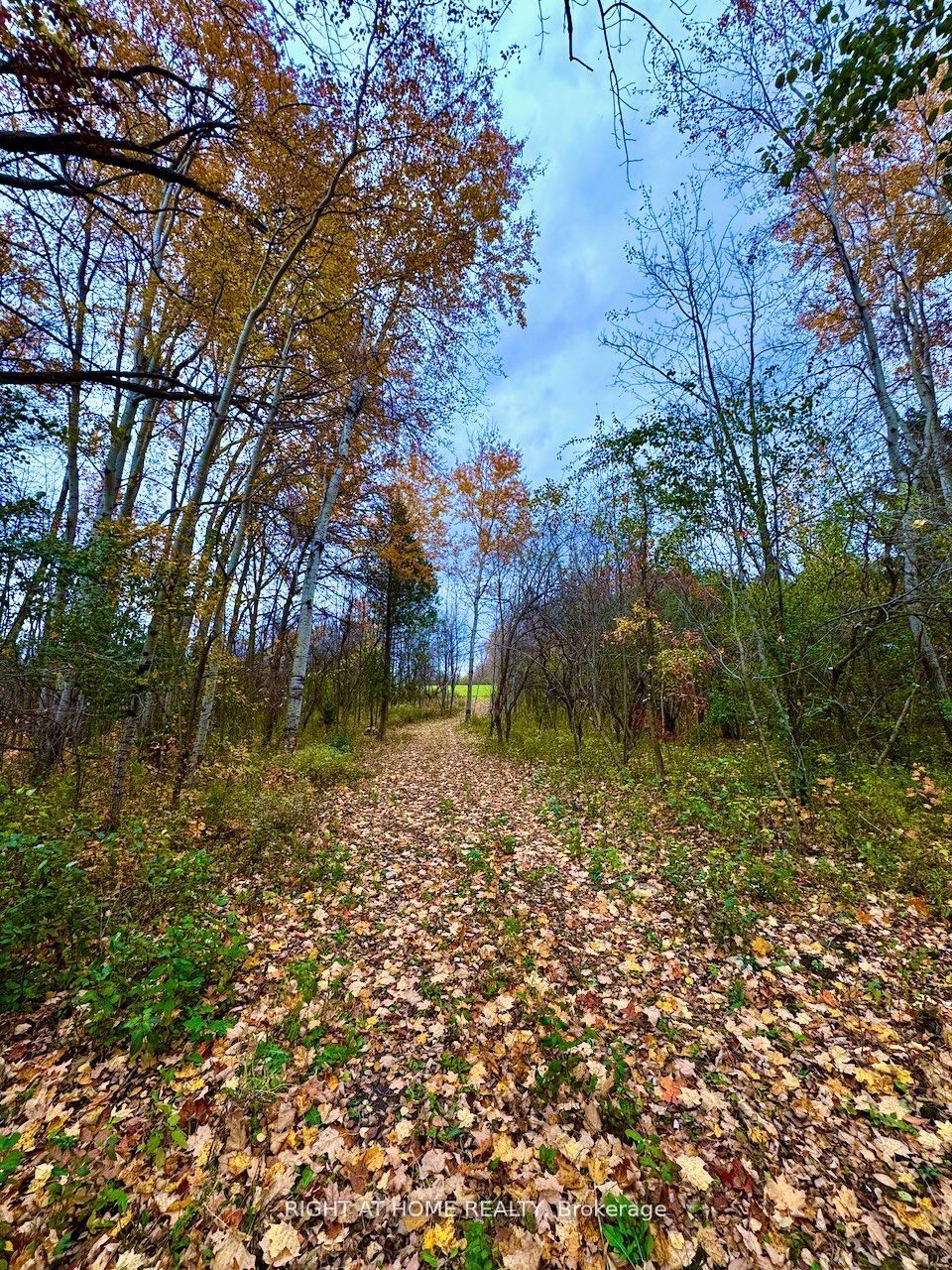 397641 10 Concession Property Photo 5