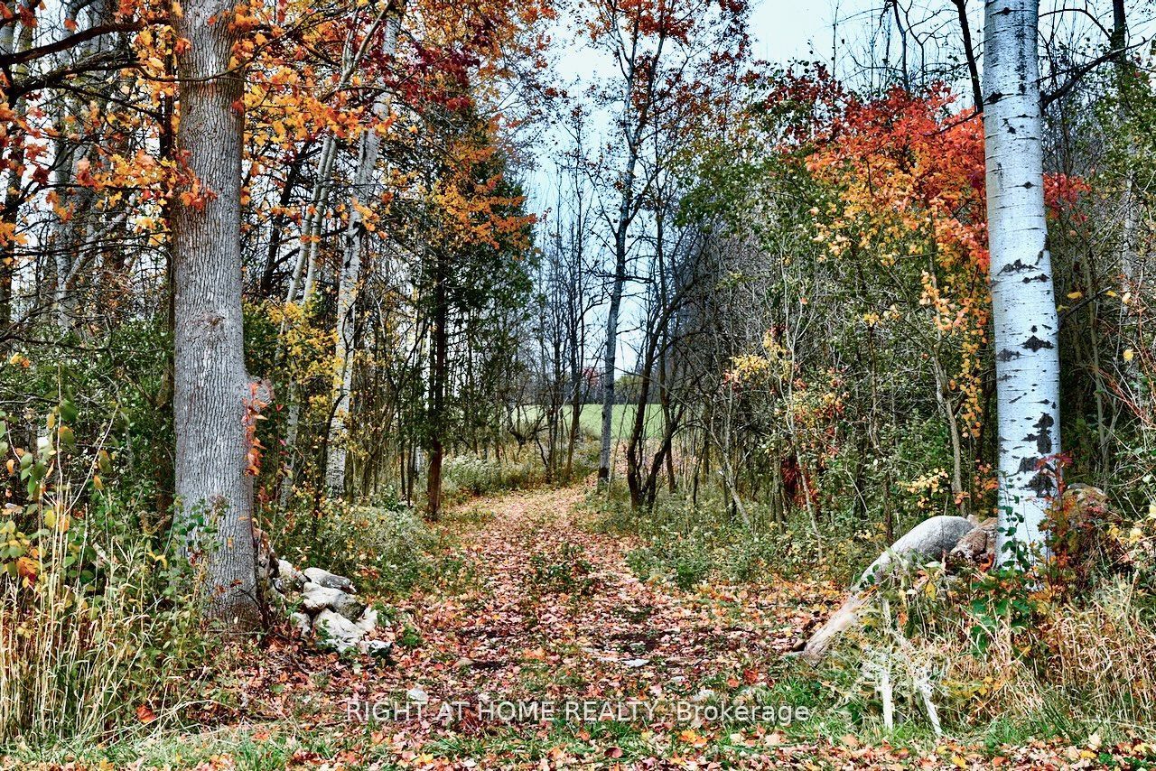 397641 10 Concession Property Photo 7