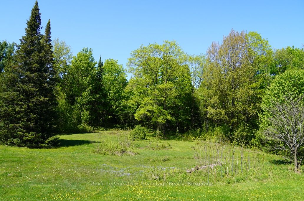 768 Hurdville Road Property Photo 30