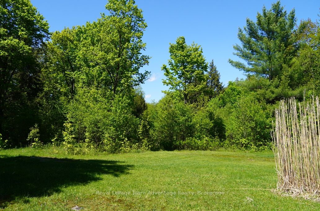 768 Hurdville Road Property Photo 32