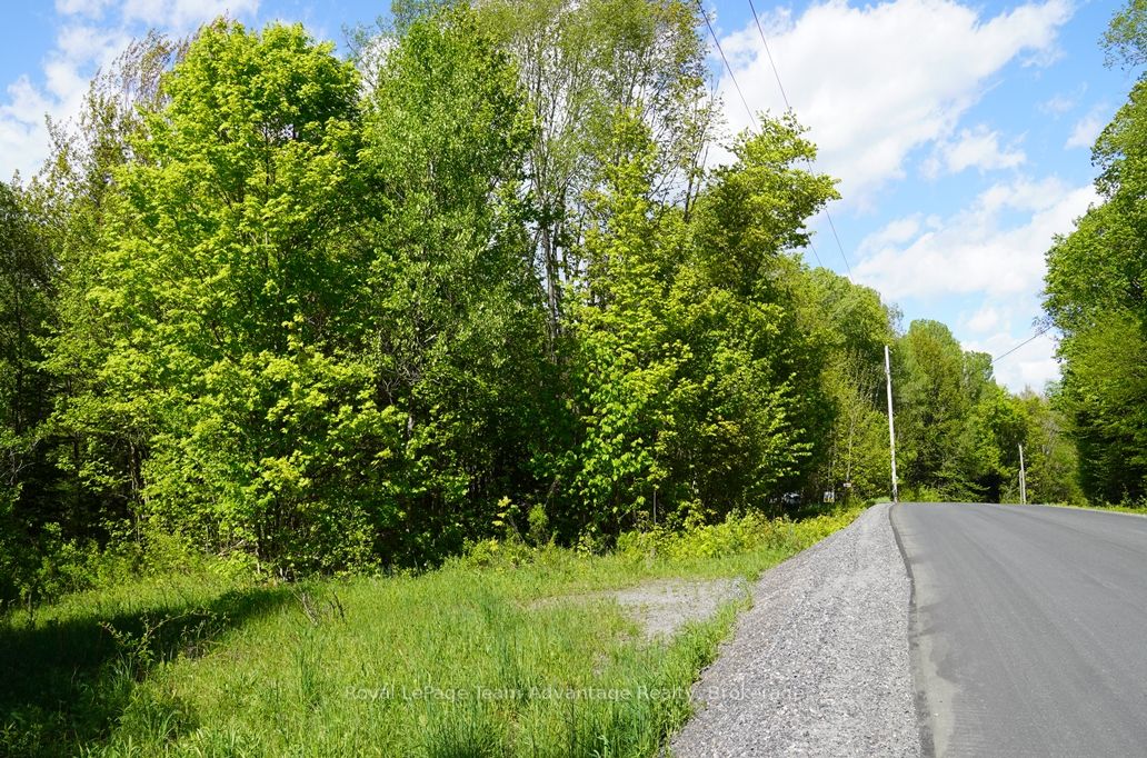 768 Hurdville Road Property Photo 35
