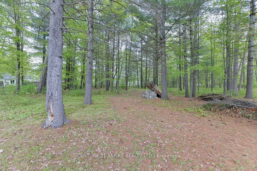 2889 Petawawa Boulevard Property Photo 42