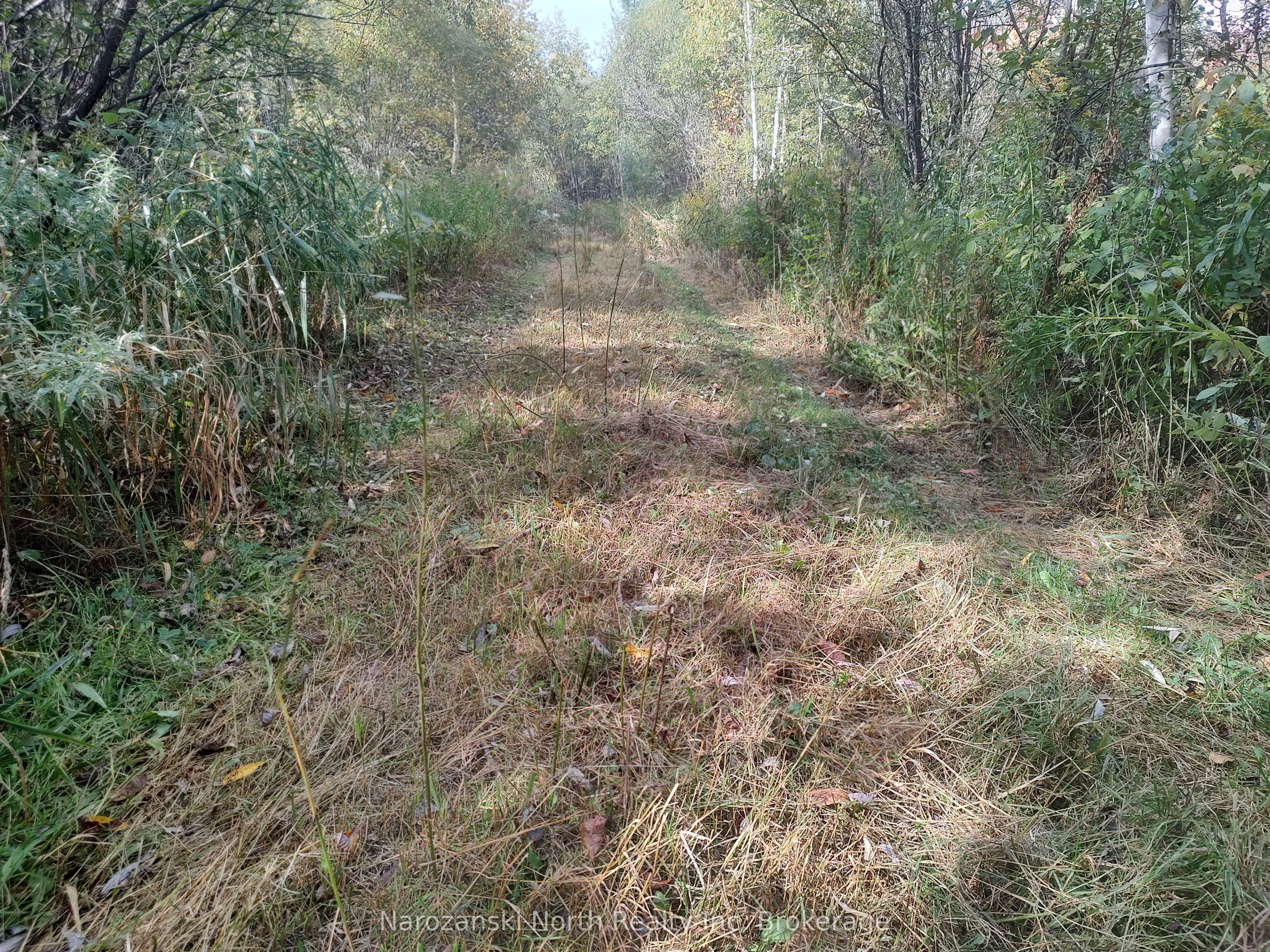 2855 64 Highway Property Photo 20