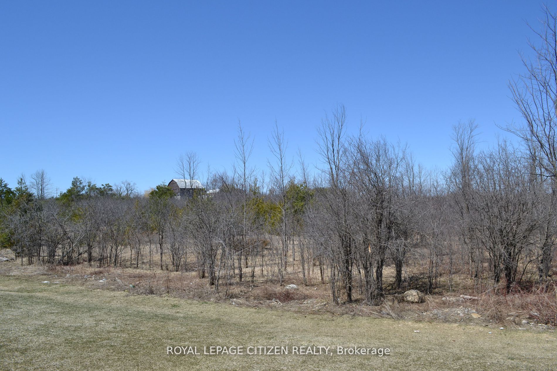 41 Carew Boulevard Property Photo 20