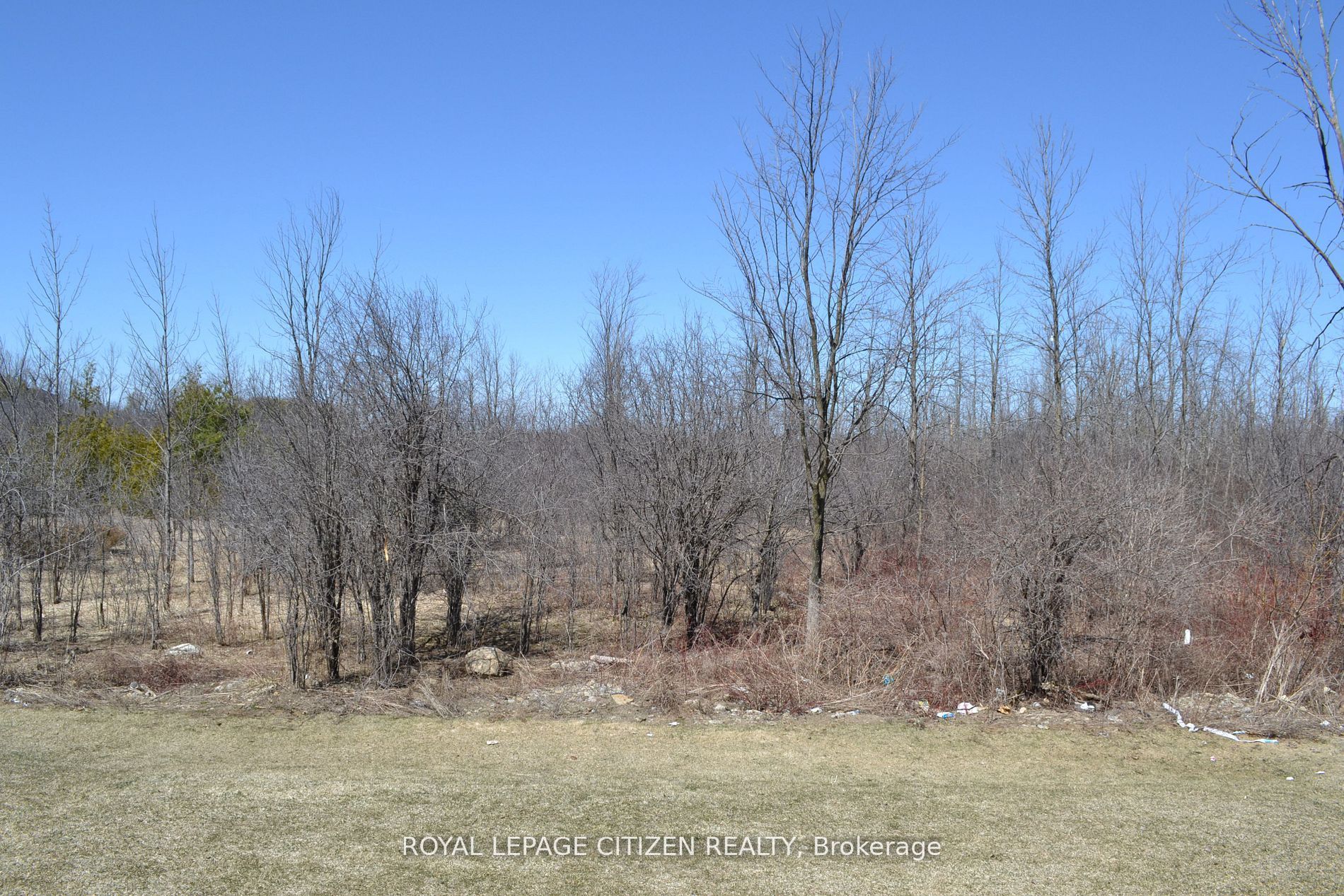 41 Carew Boulevard Property Photo 21