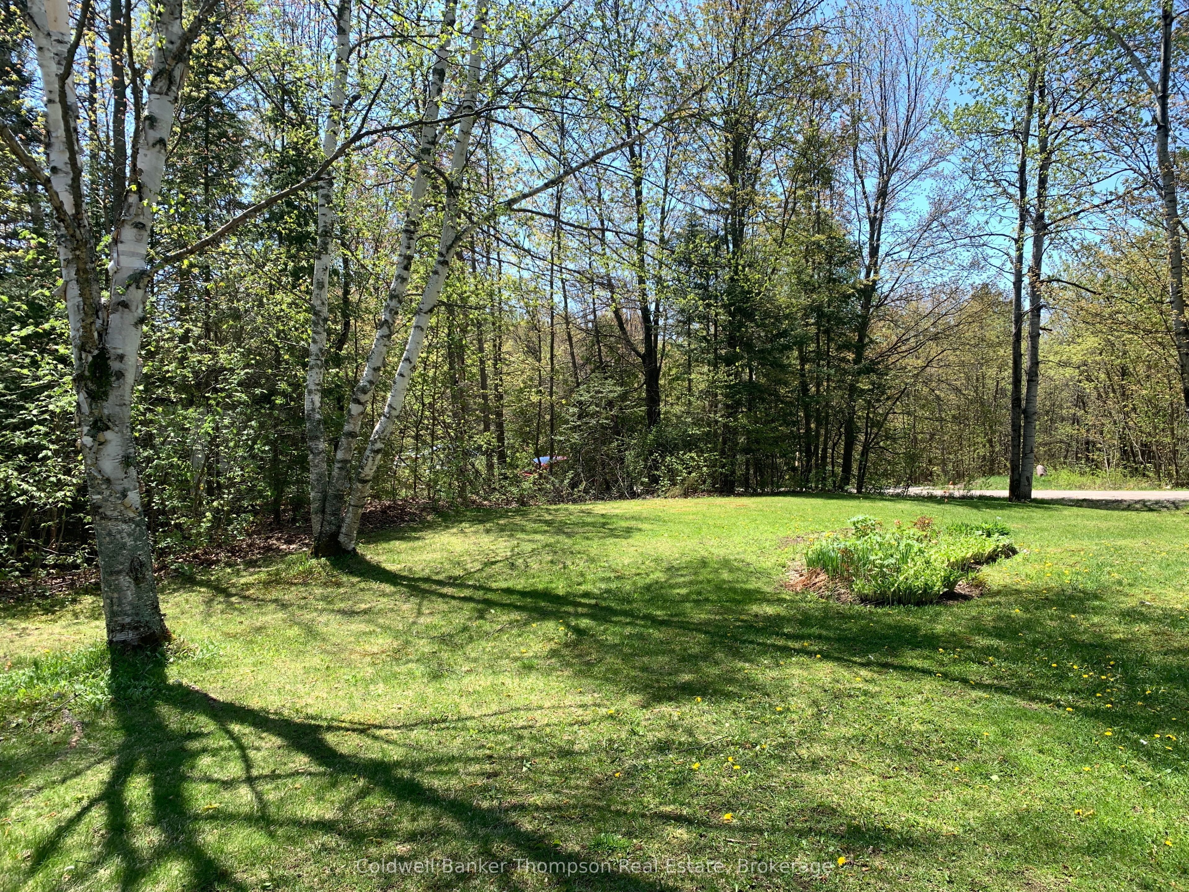 79 Oakridge Drive Property Photo 15