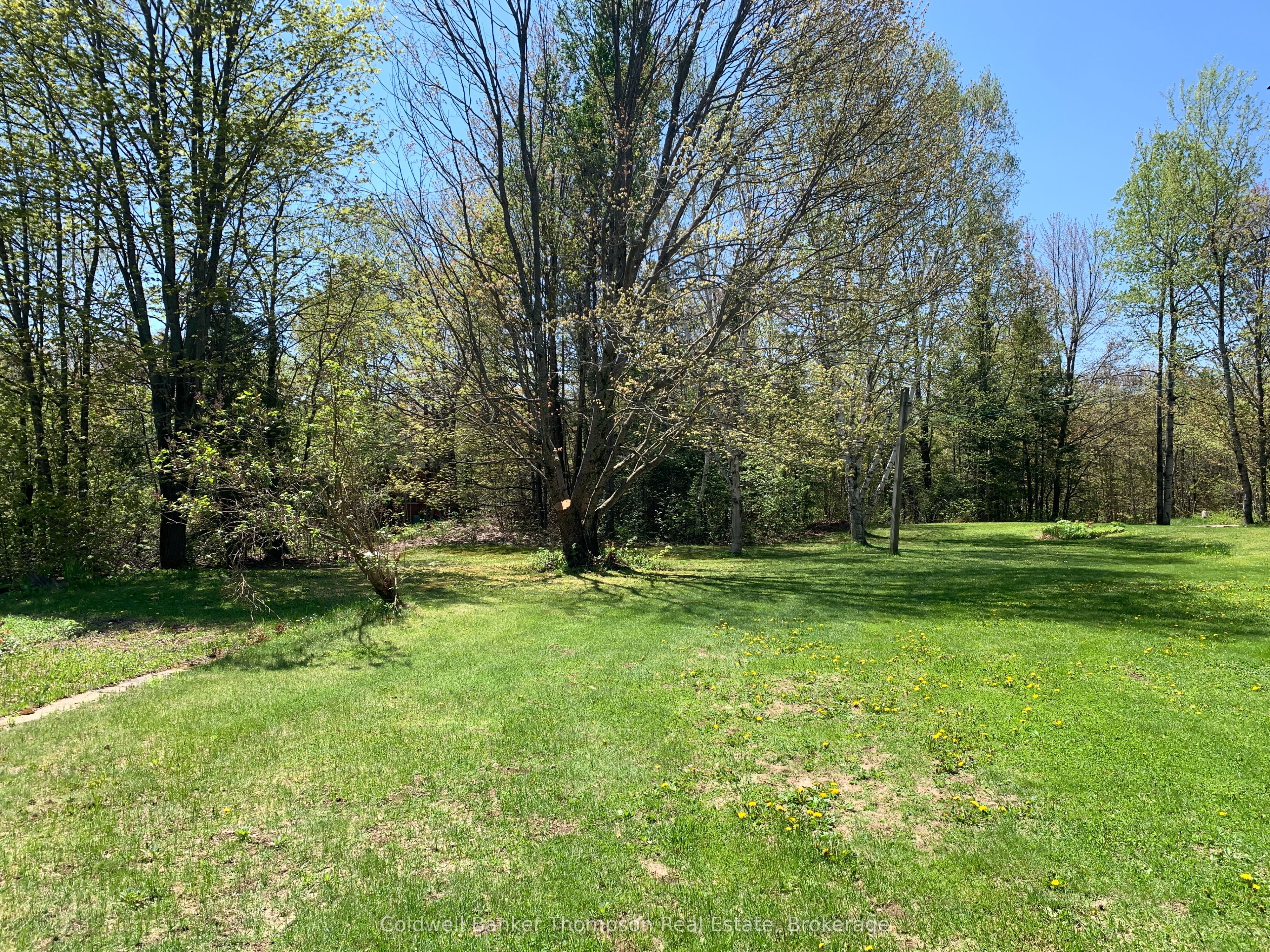 79 Oakridge Drive Property Photo 16