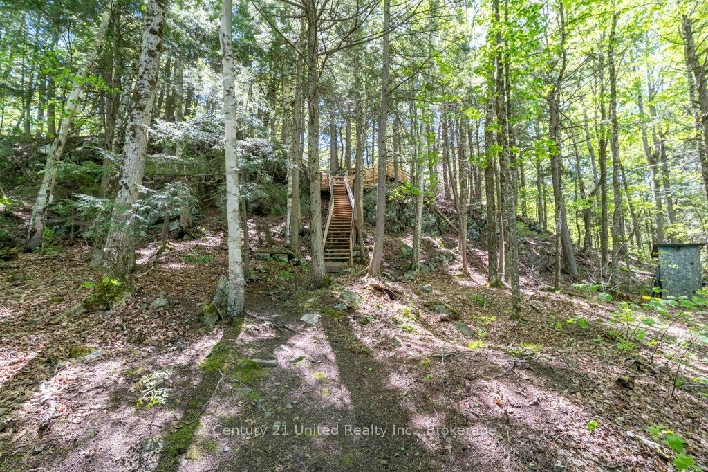 1233 Stinson Drive Property Photo 35