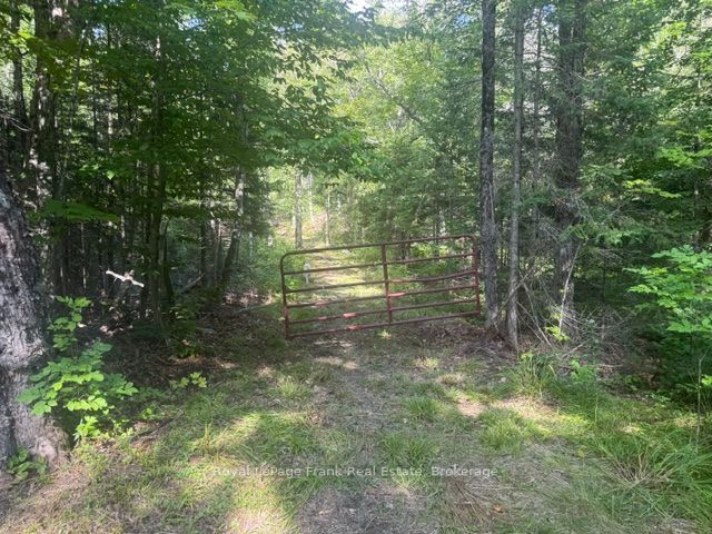 905 & 841 North Mckenzie Lake Road Property Photo 1