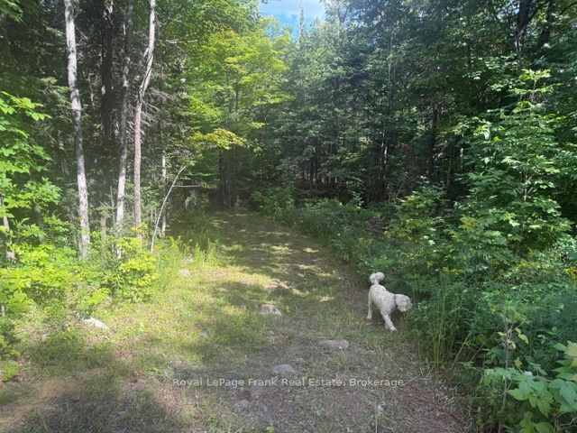 905 & 841 North Mckenzie Lake Road Property Photo 2