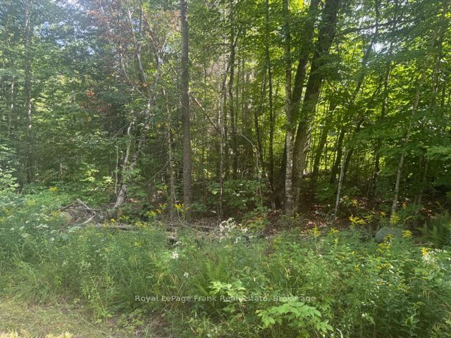 905 & 841 North Mckenzie Lake Road Property Photo 3