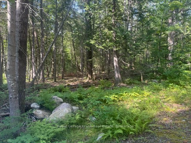 905 & 841 North Mckenzie Lake Road Property Photo 5