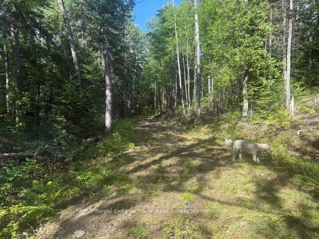 905 & 841 North Mckenzie Lake Road Property Photo 6