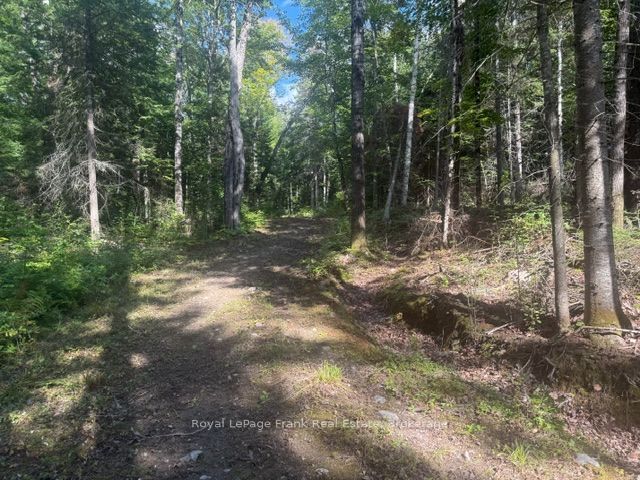 905 & 841 North Mckenzie Lake Road Property Photo 7