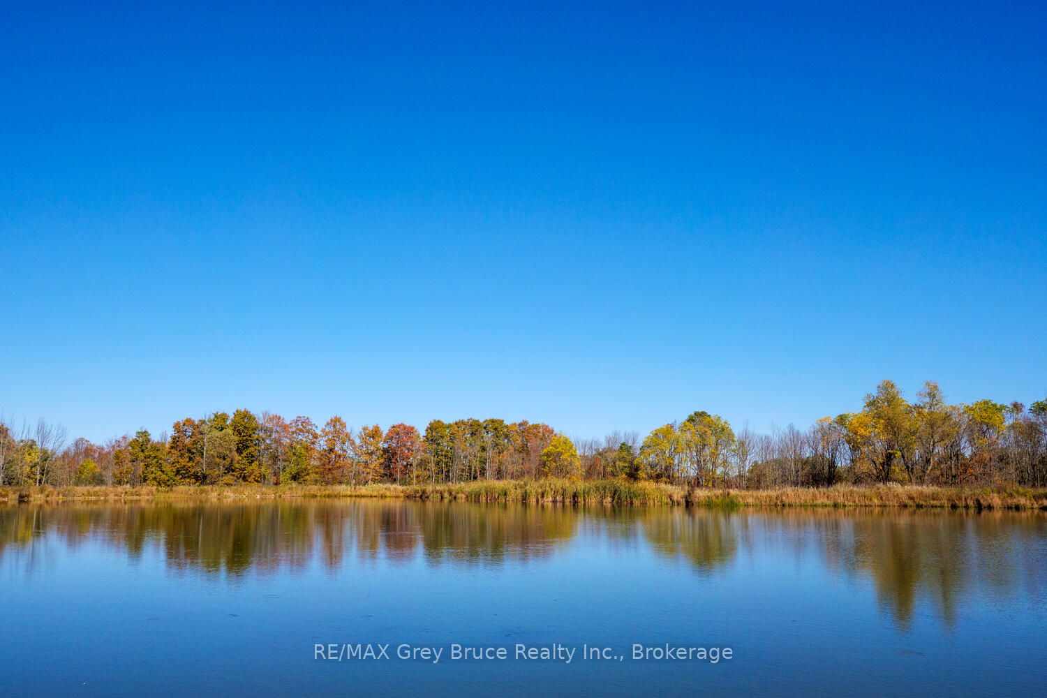 617536 Concession 1 Road Property Photo 27
