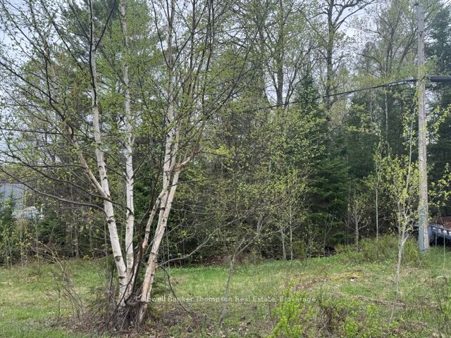 00 W Highway 518 West Highway Property Photo 1