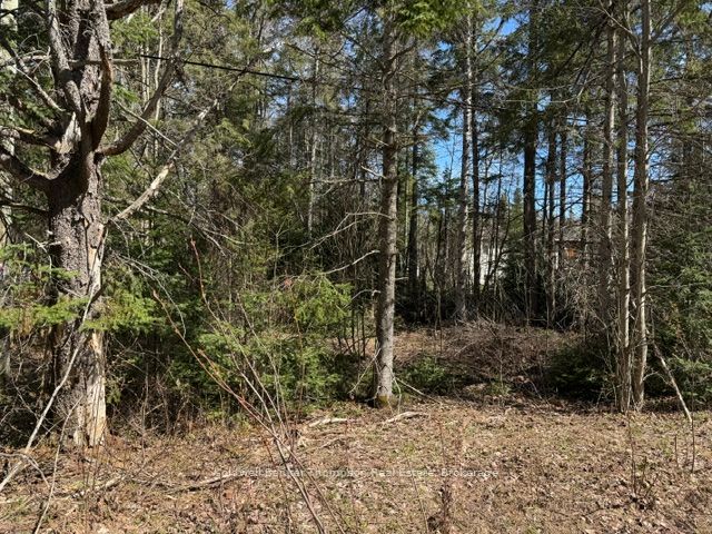 000 Highway 518 West Highway Property Photo 2