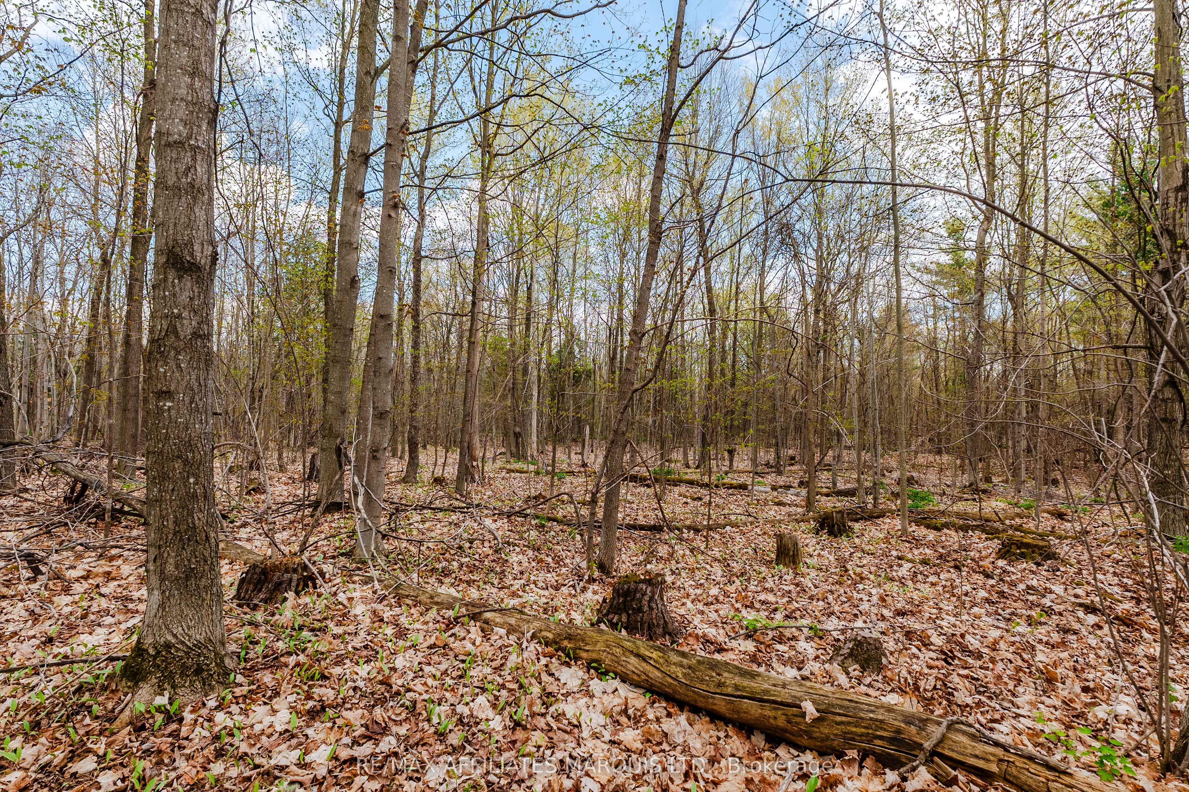 00000 Beaver Brook Road Property Photo 10