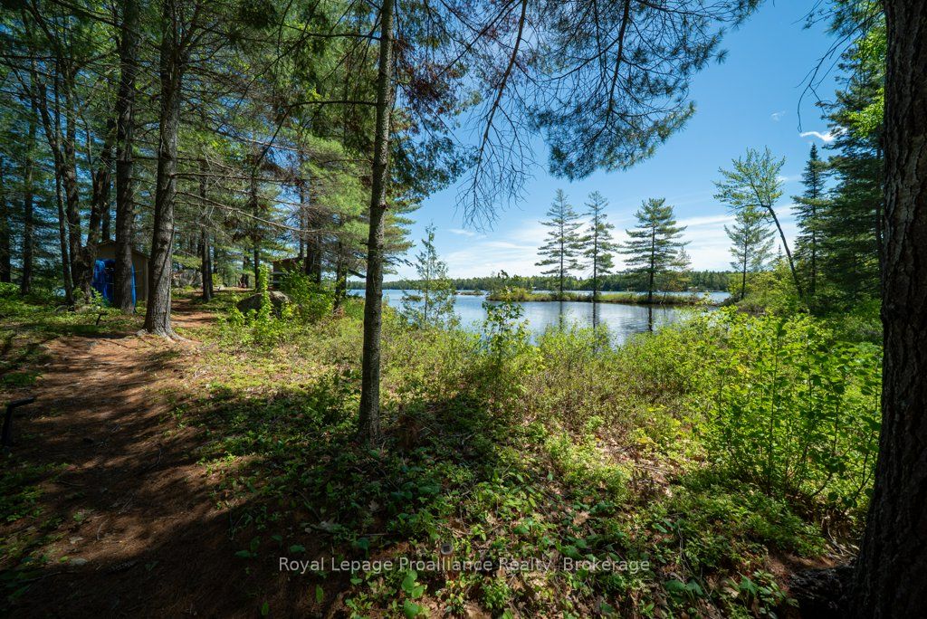 1174 Marsh View Drive Property Photo 34