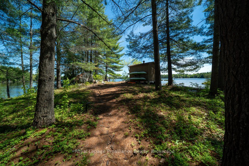 1174 Marsh View Drive Property Photo 35