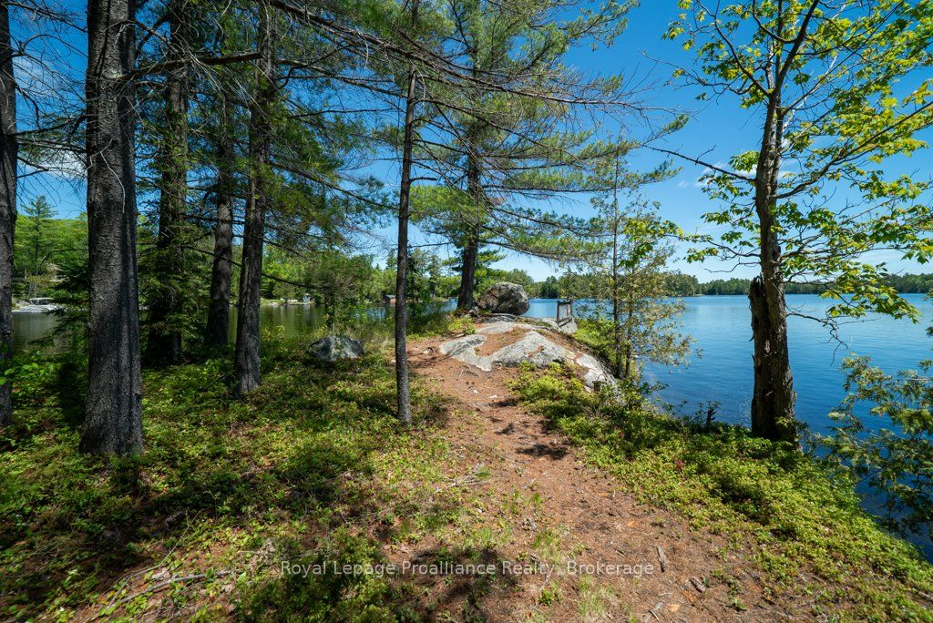 1174 Marsh View Drive Property Photo 37