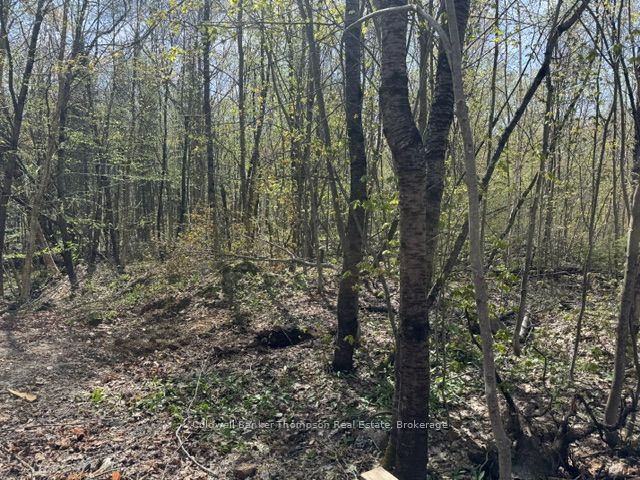 152 Pettit Lane Property Photo 3
