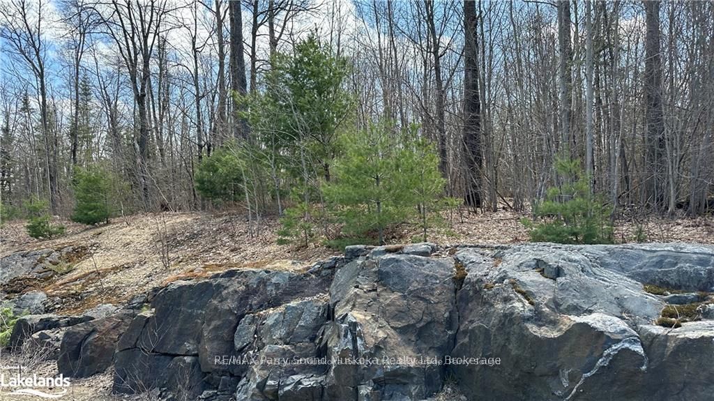 593 Highway 518 Property Photo 6