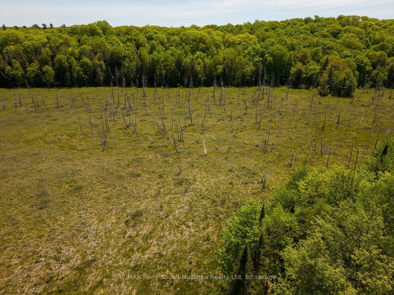 593 Highway 518 Property Photo 8