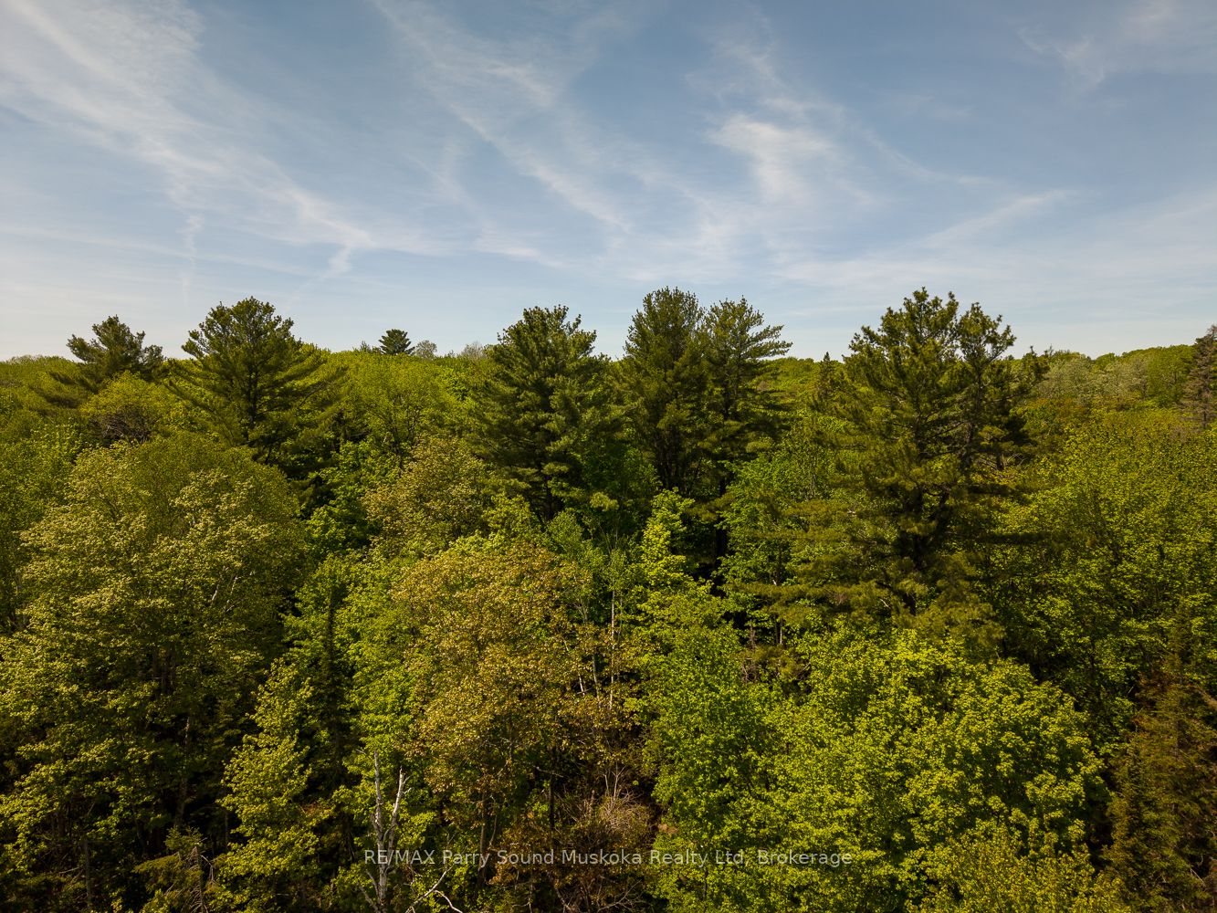 593 Highway 518 Property Photo 12