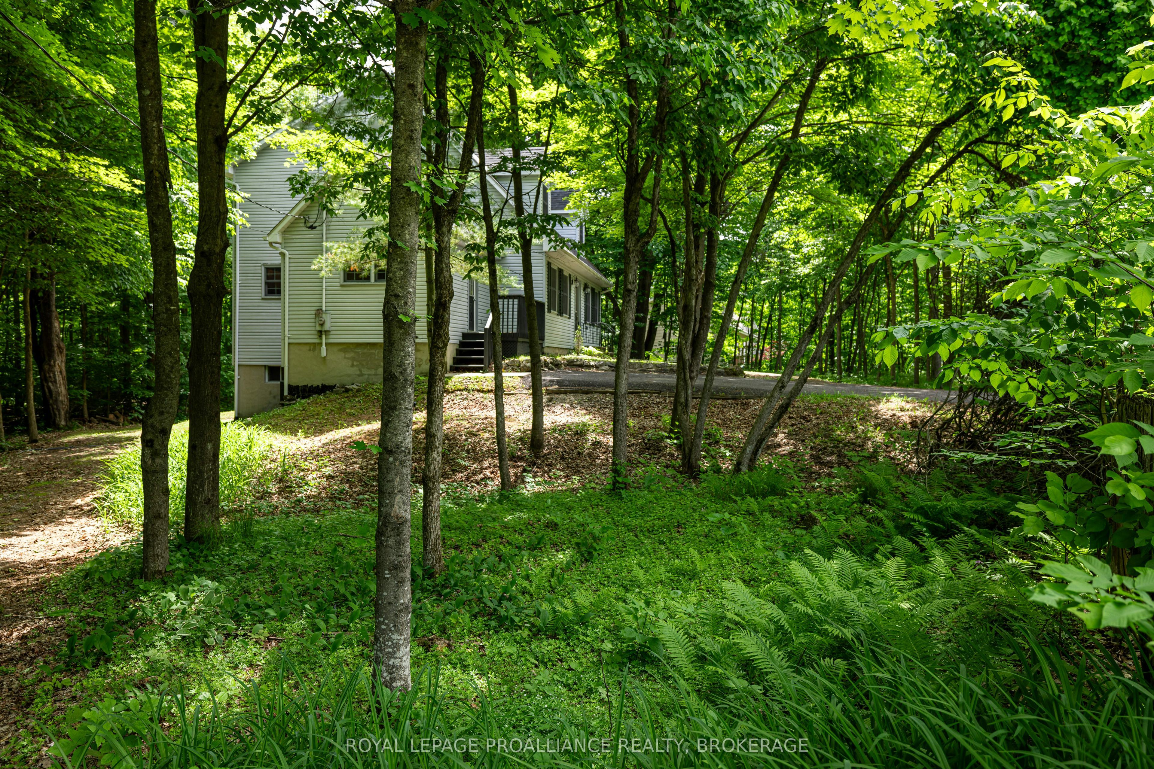 1403 Norway Road Property Photo 10
