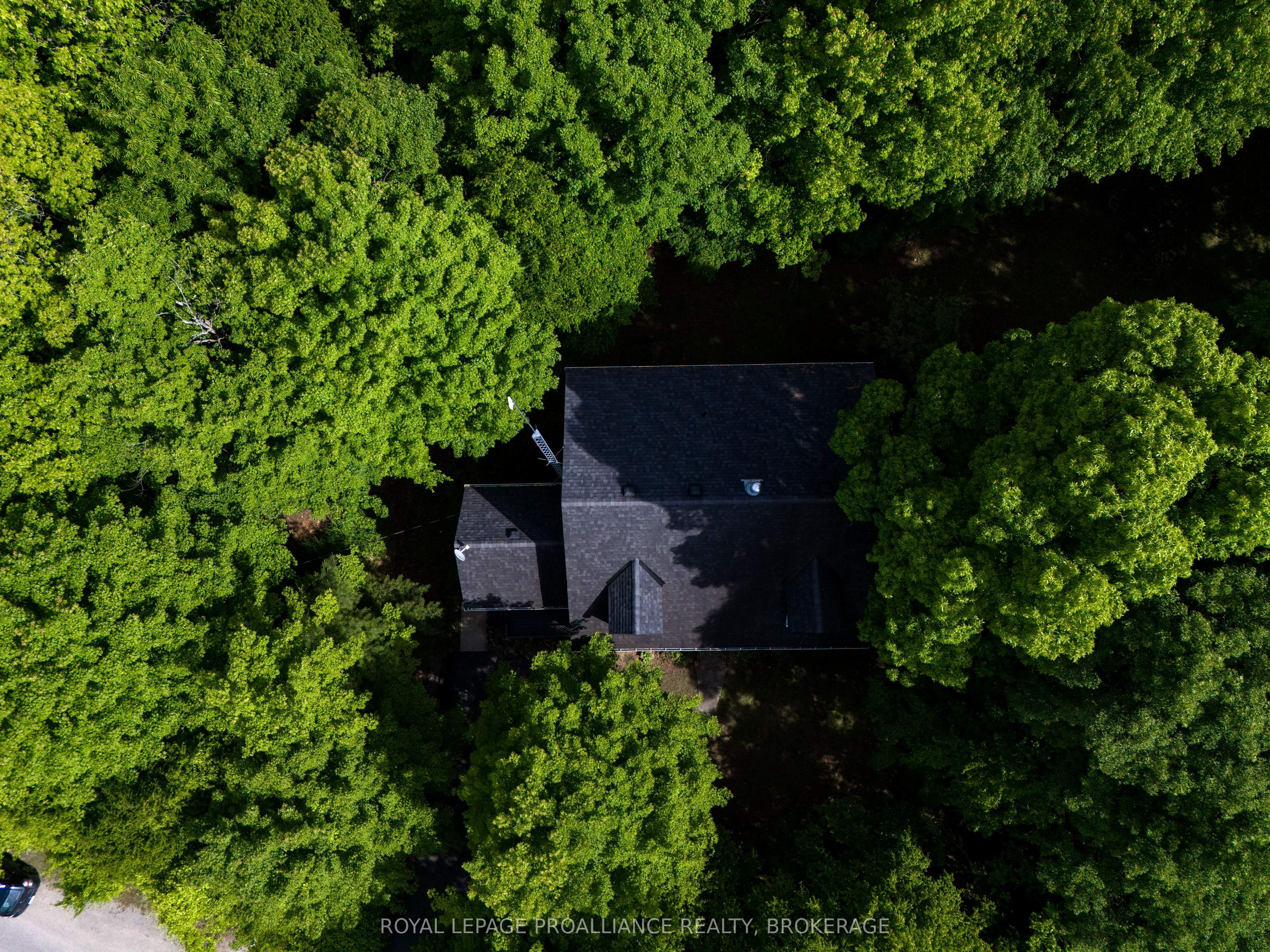 1403 Norway Road Property Photo 14