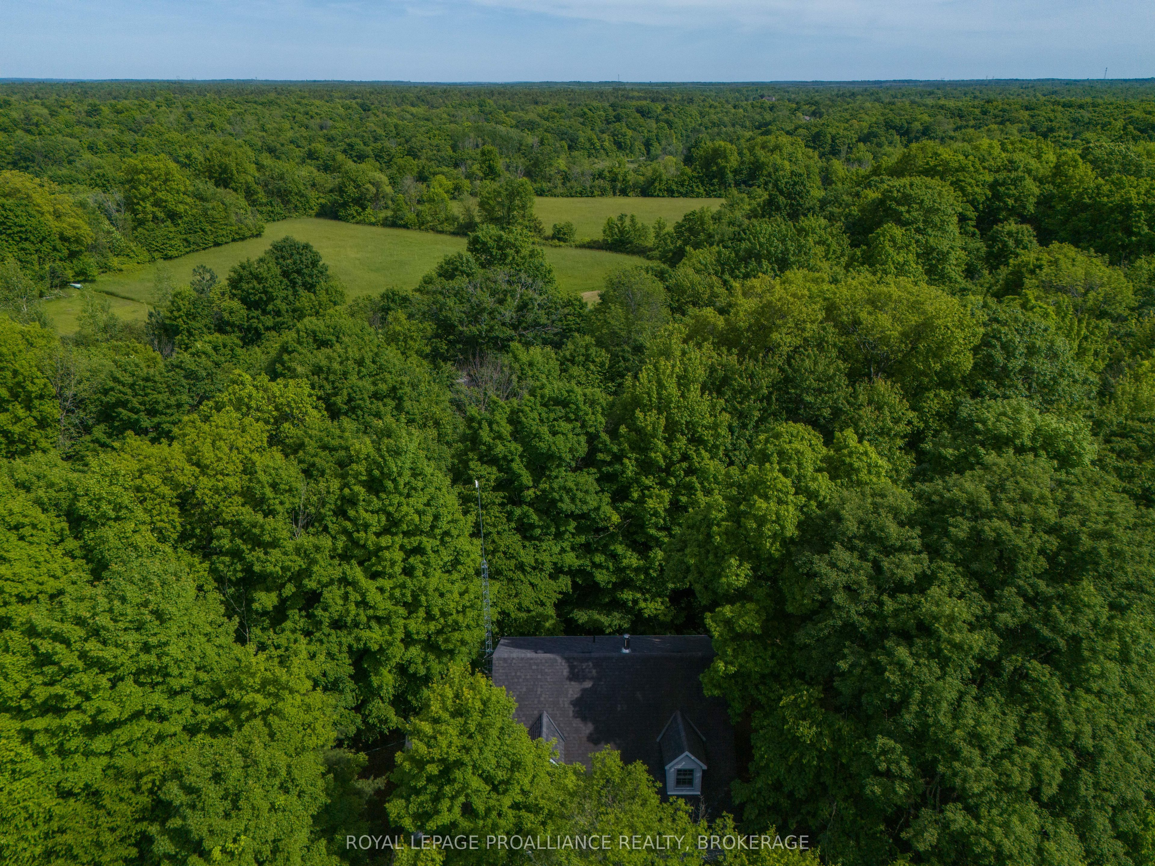 1403 Norway Road Property Photo 15