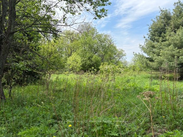 351 Ravenscliffe Road Property Photo 4