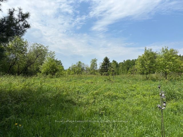 351 Ravenscliffe Road Property Photo 7