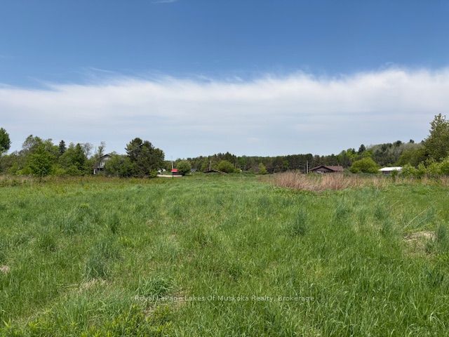 351 Ravenscliffe Road Property Photo 15