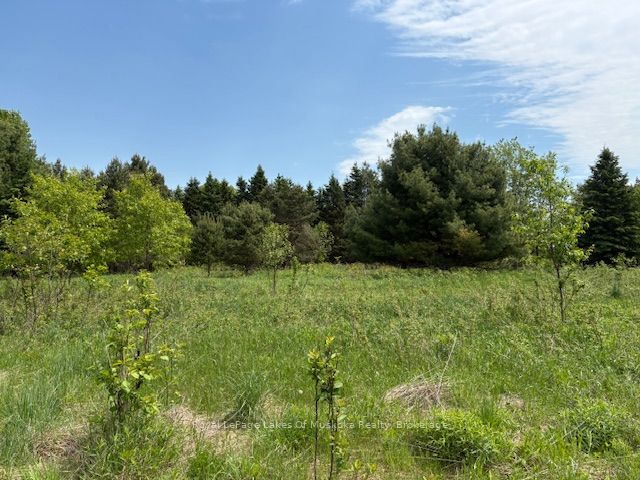 351 Ravenscliffe Road Property Photo 17