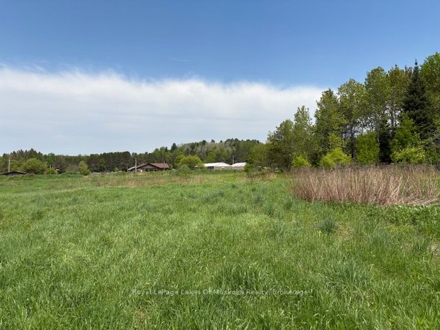 351 Ravenscliffe Road Property Photo 20