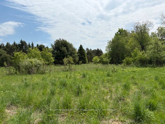 351 Ravenscliffe Road Property Photo 22