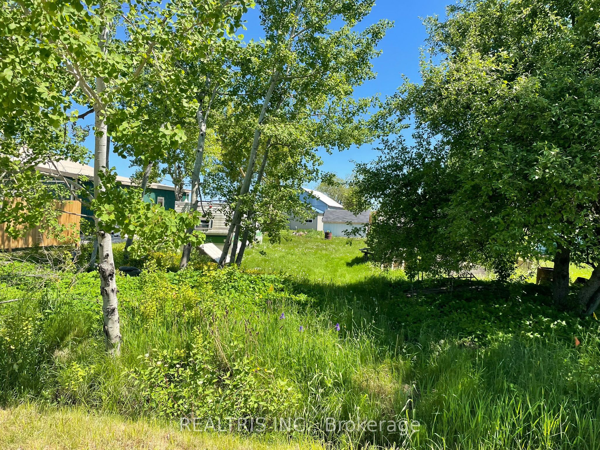 682419 260 Side Road Property Photo 8
