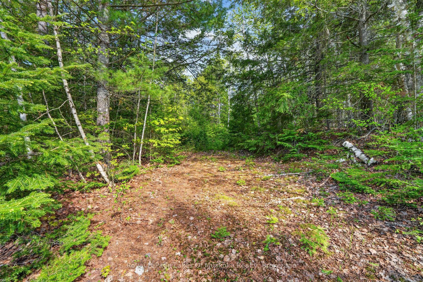 0 Echo Ridge Road Property Photo 36
