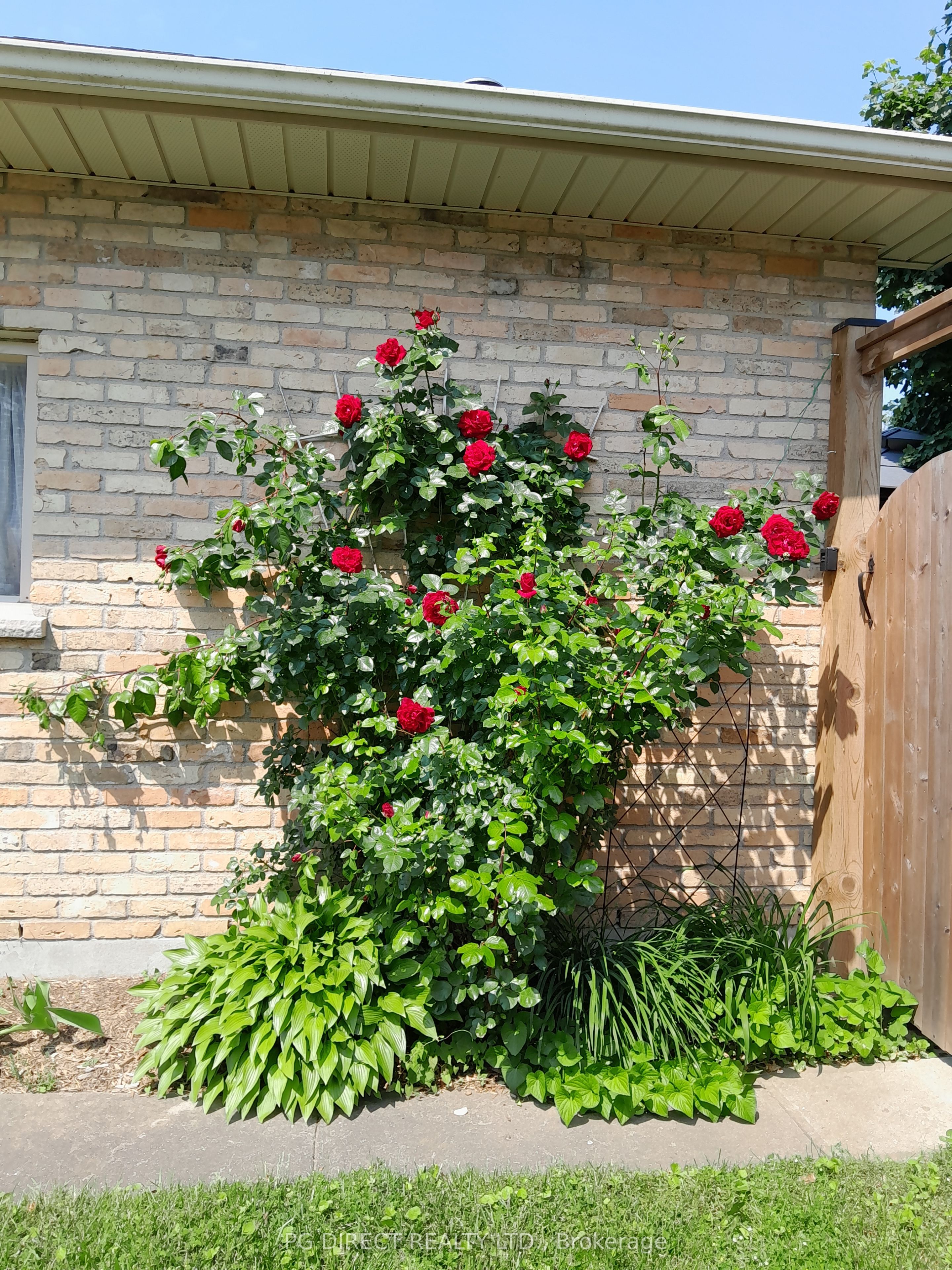 188 Byron Avenue Property Photo 18