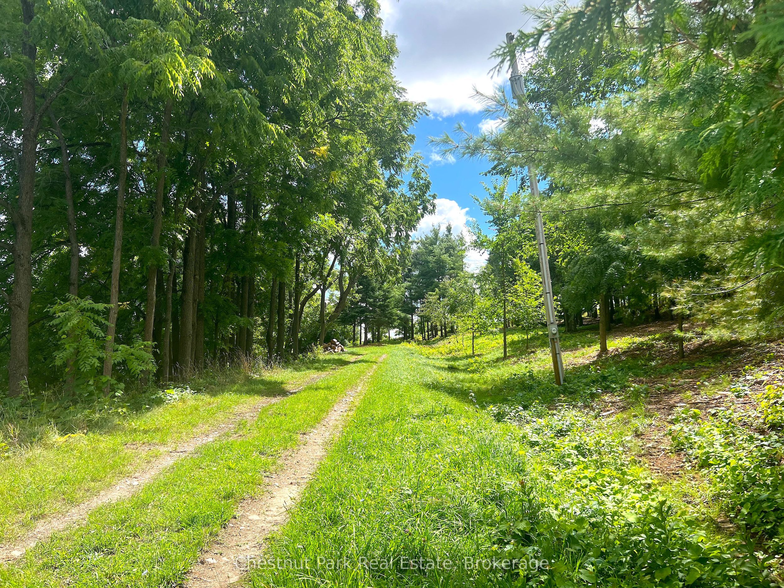 628190 15 Siderd Property Photo 2