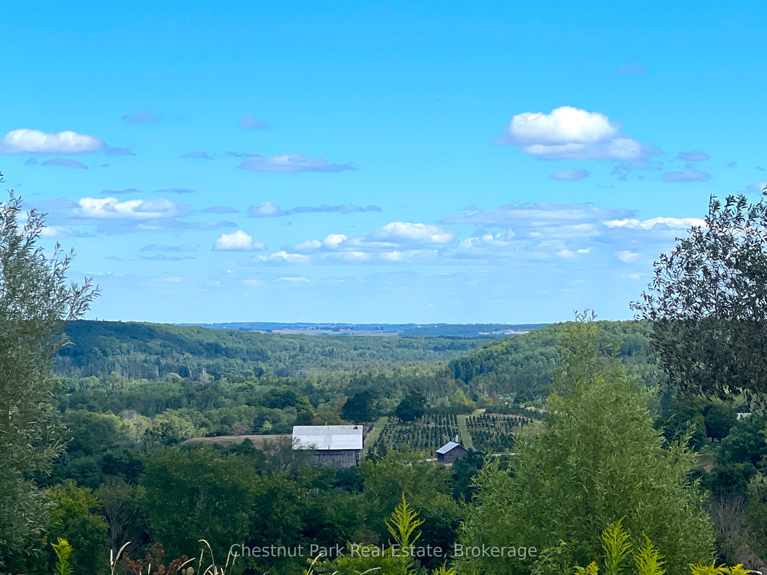 628190 15 Siderd Property Photo 3