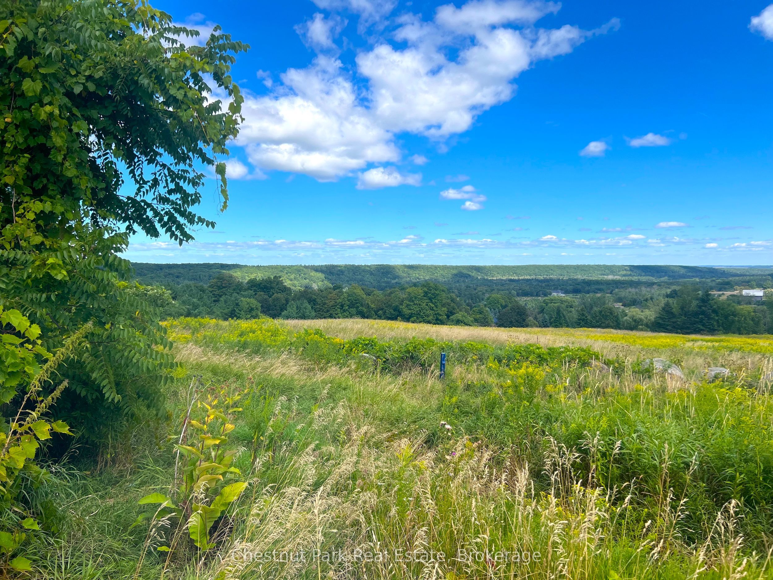 628190 15 Siderd Property Photo 4