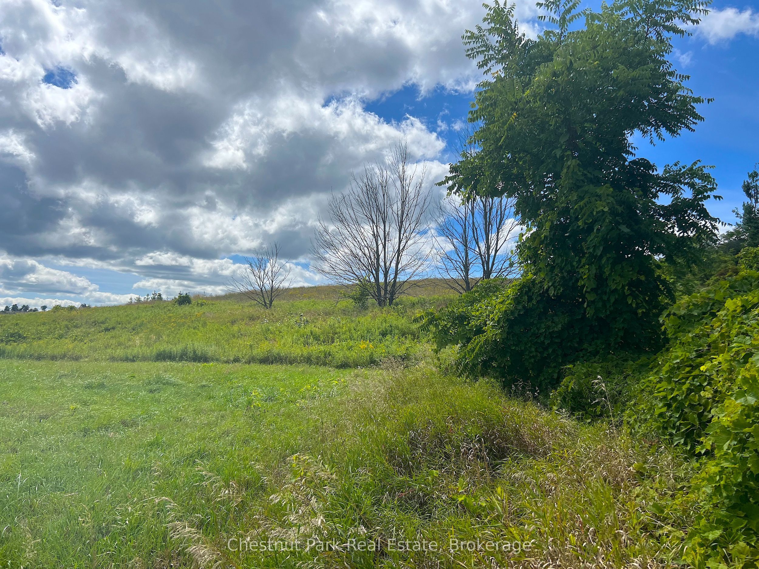 628190 15 Siderd Property Photo 6