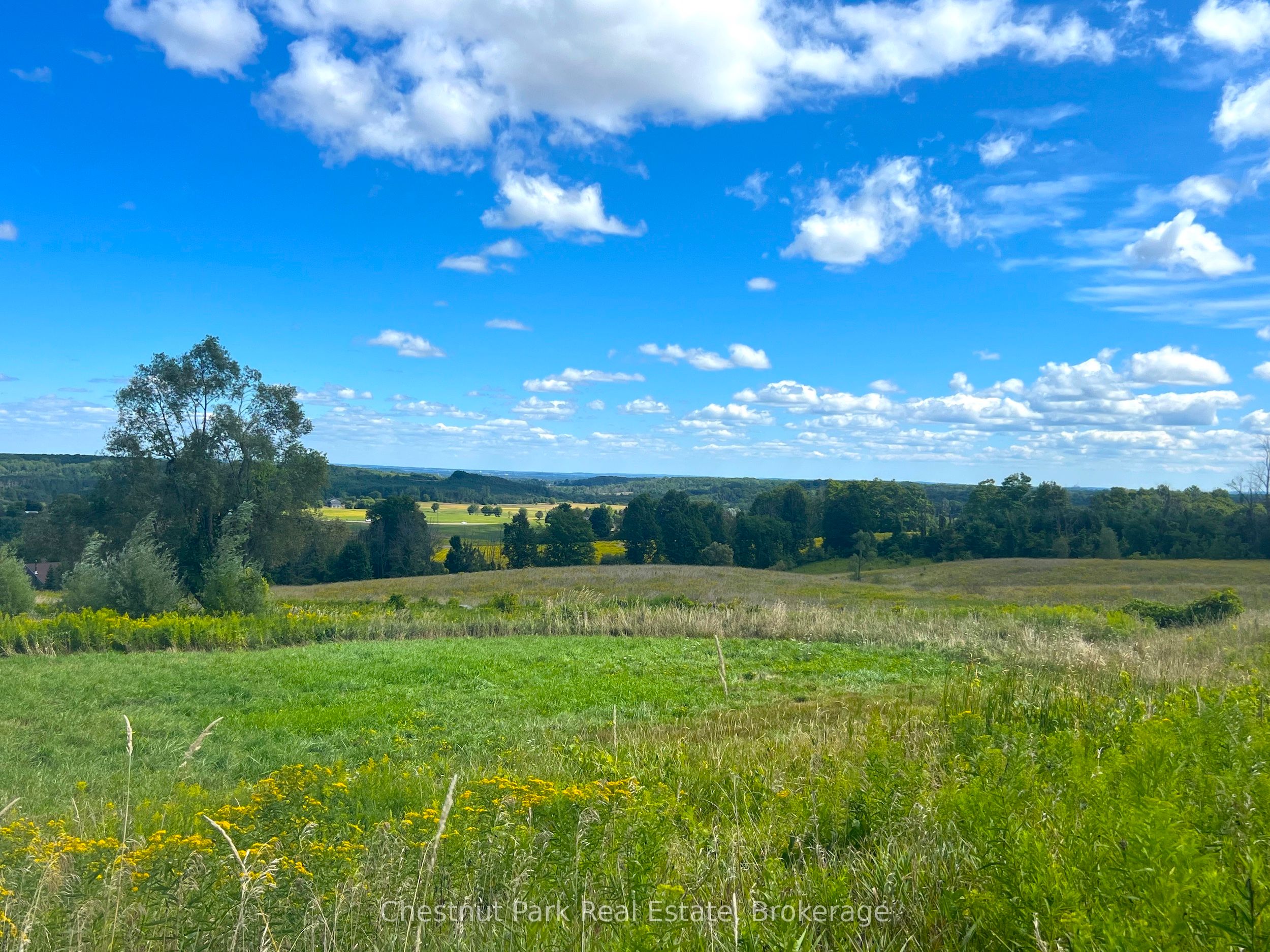 628190 15 Siderd Property Photo 8