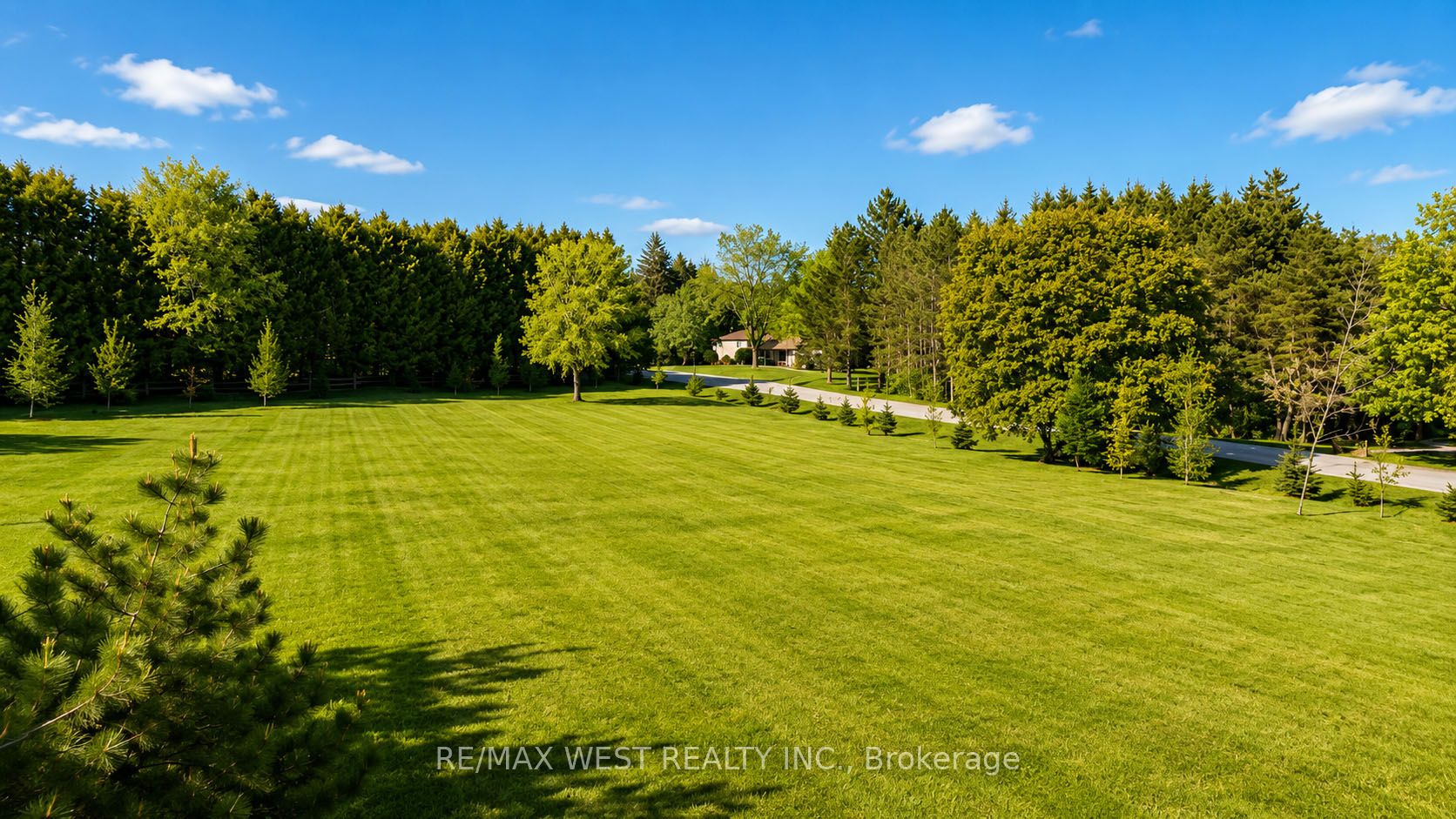 23 Mckibbon Avenue Property Photo 16