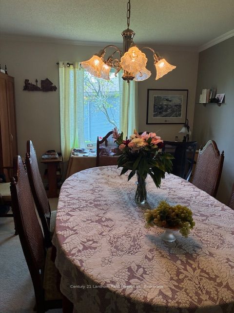 18 Cretney Drive S Property Photo 13