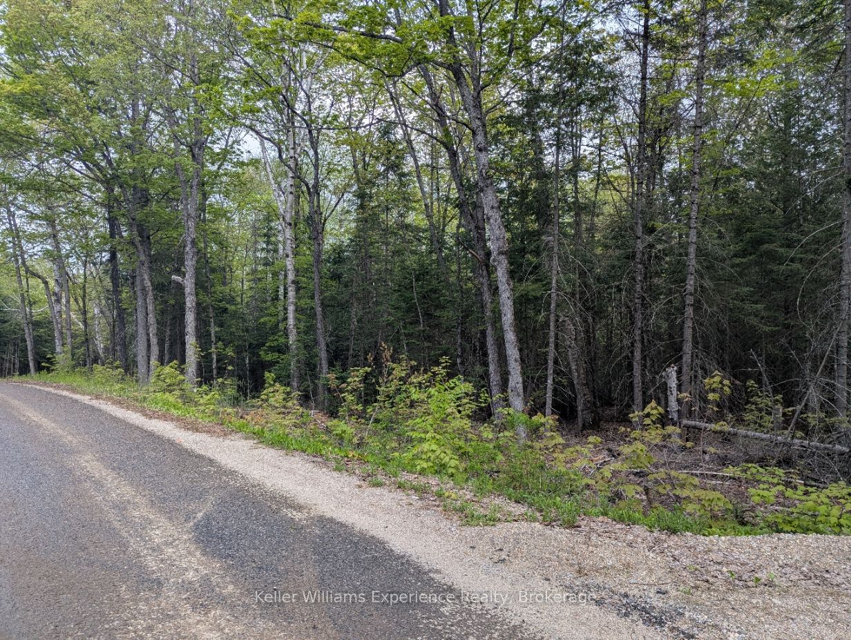 1366 Echo Ridge Road Property Photo 5