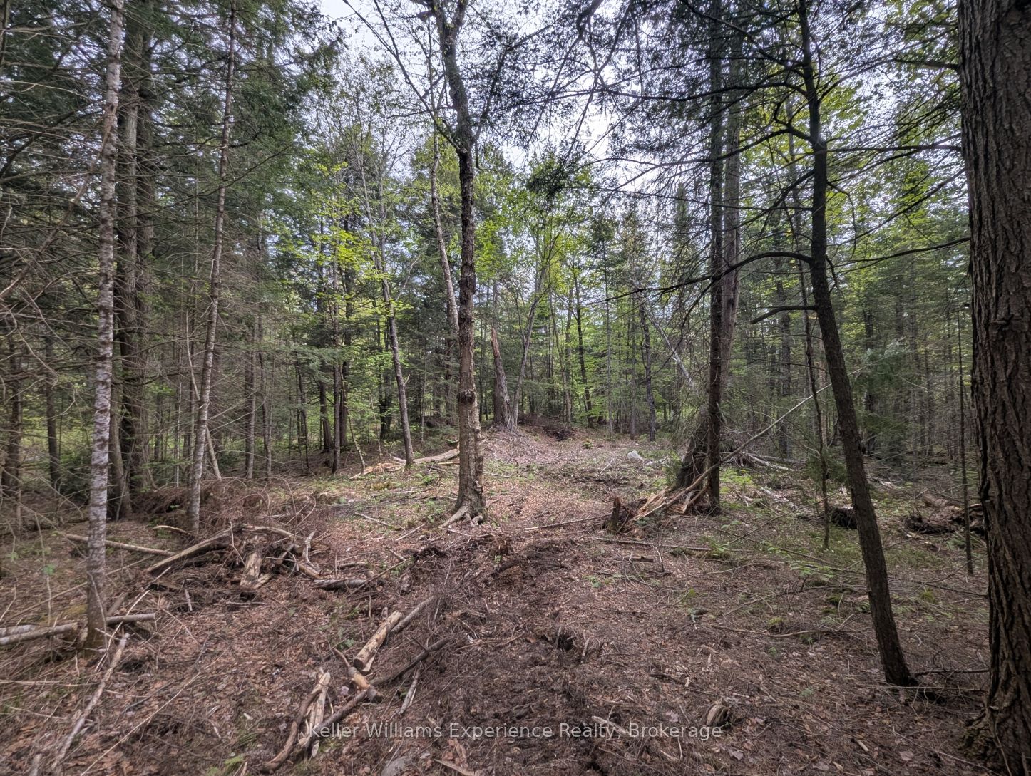 1366 Echo Ridge Road Property Photo 7